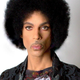 Prince
Twitter